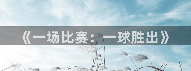 《一场比赛：一球胜出》