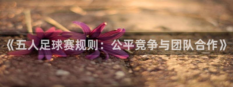 《五人足球赛规则：公平竞争与团队合作》