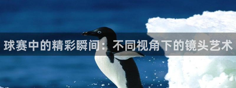 球速体育app在线登录官网：球赛中的精彩瞬间：不同视角下的镜