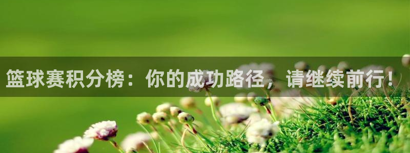 球速体育app下载有风险吗：篮球赛积分榜：你的成功路径，请继