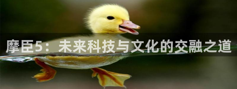 彩神游戏有哪些好玩的：摩臣5：未来科技与文化的交融之道