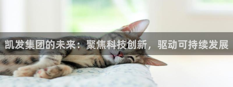 彩神3平台登录注册：凯发集团的未来：聚焦科技创新，驱动可持续发展