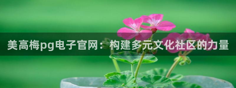 彩神注册：美高梅pg电子官网：构建多元文化社区的力量