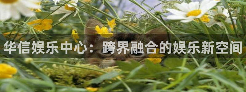 彩神凯捷平台：华信娱乐中心：跨界融合的娱乐新空间