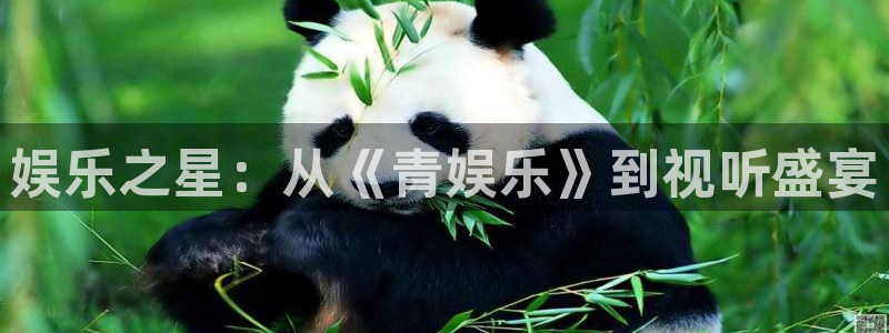 彩神3官网登录：娱乐之星：从《青娱乐》到视听盛宴