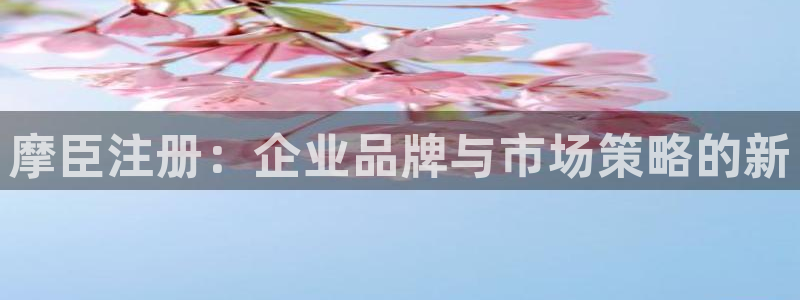 彩神平台在线注册：摩臣注册：企业品牌与市场策略的新