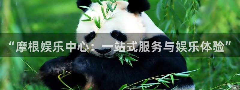 彩神集团官网：“摩根娱乐中心：一站式服务与娱乐体验”