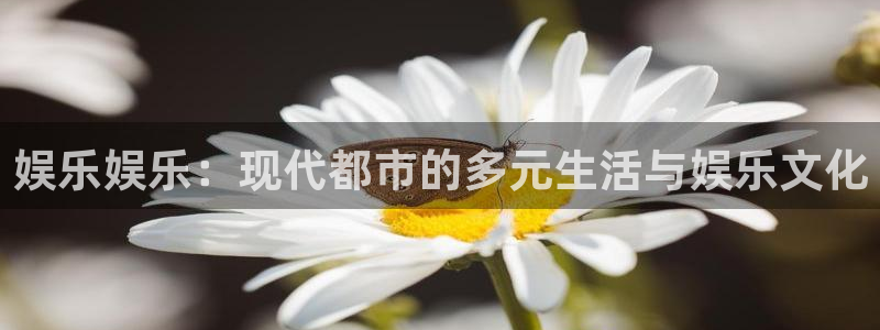彩神4平台注册：娱乐娱乐：现代都市的多元生活与娱乐文化