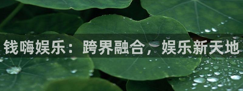 彩神4平台注册：钱嗨娱乐：跨界融合，娱乐新天地
