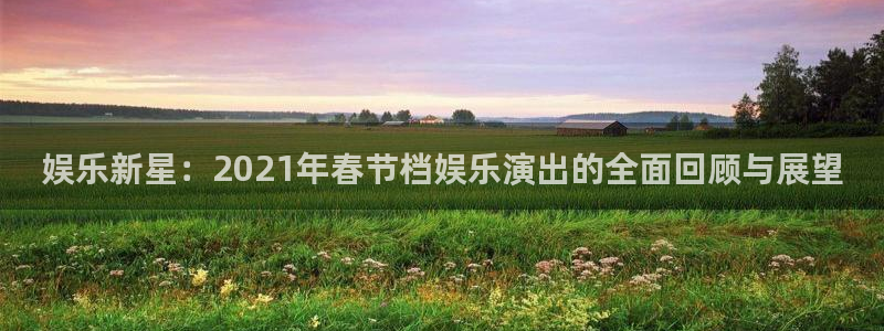 彩神4平台：娱乐新星：2021年春节档娱乐演出的全面回顾与展望