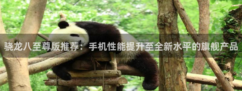 彩神体育平台总代理：骁龙八至尊版推荐：手机性能提升至全新水平的旗舰产品