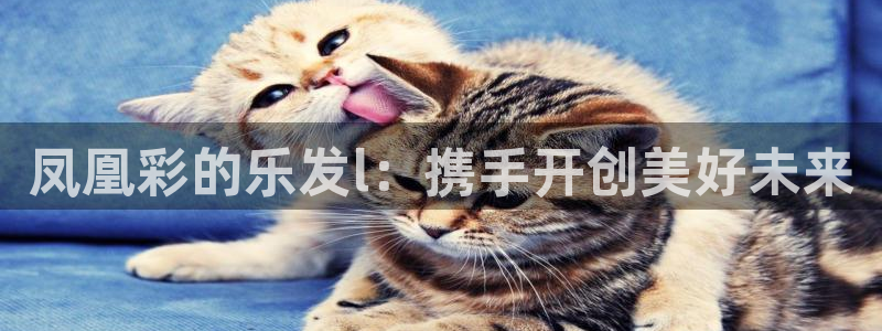 彩神2官网：凤凰彩的乐发l：携手开创美好未来