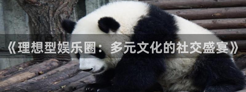 彩神股份：《理想型娱乐圈：多元文化的社交盛宴》