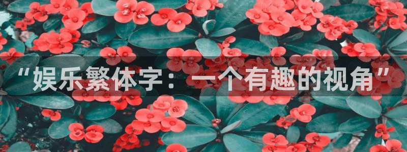 彩神2登录地址：“娱乐繁体字：一个有趣的视角”