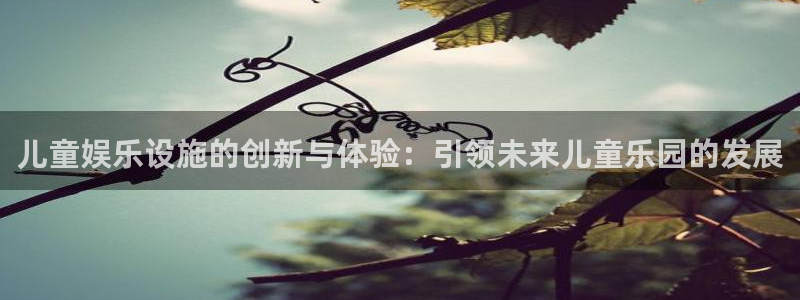 彩神3平台登录注册：儿童娱乐设施的创新与体验：引领未来儿童乐园的发展