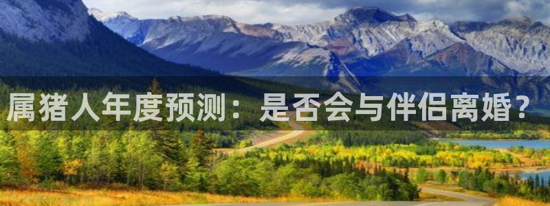 彩神2登录地址：属猪人年度预测：是否会与伴侣离婚？