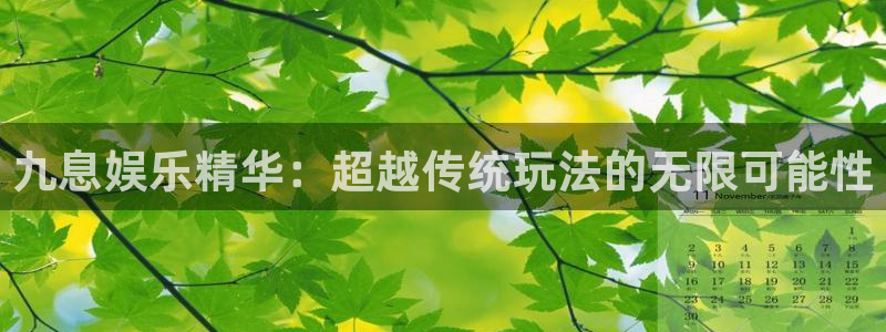 彩神零能源集团：九息娱乐精华：超越传统玩法的无限可能性