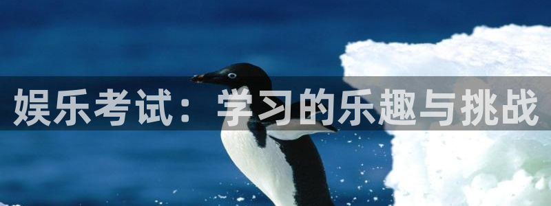 福建彩神机电股份公司：娱乐考试：学习的乐趣与挑战