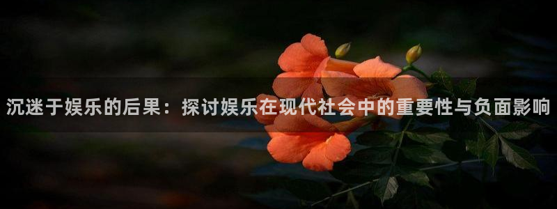彩神凯捷开号链接：沉迷于娱乐的后果：探讨娱乐在现代社会中的重要性与负面影响