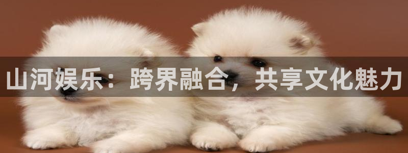 彩神体育凯捷代理注册：山河娱乐：跨界融合，共享文化魅力