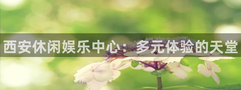 彩神体育app下载：西安休闲娱乐中心：多元体验的天堂