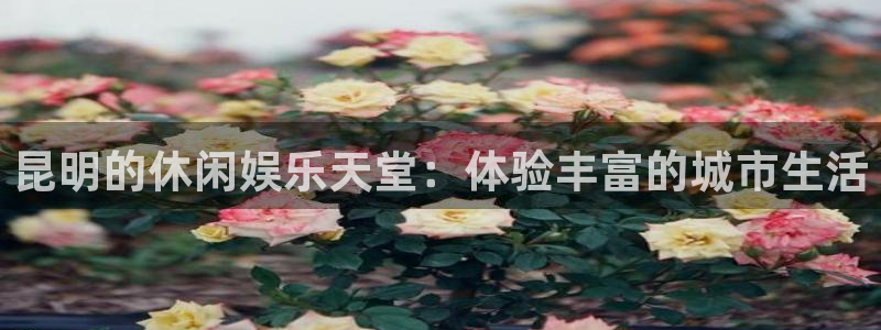 彩神代理：昆明的休闲娱乐天堂：体验丰富的城市生活
