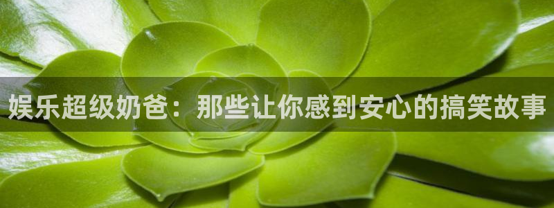 彩神体育平台登录入口：娱乐超级奶爸：那些让你感到安心的搞笑故事