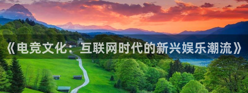 彩神官网入口：《电竞文化：互联网时代的新兴娱乐潮流》