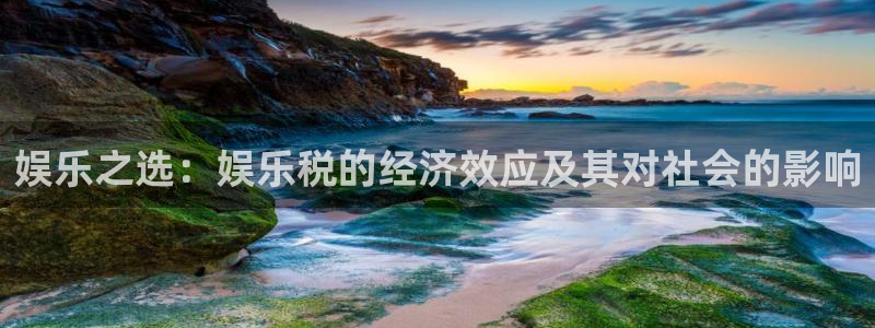 彩神3代理：娱乐之选：娱乐税的经济效应及其对社会的影响