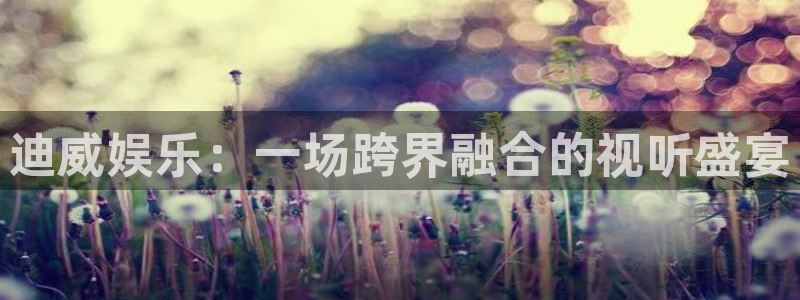 彩神体育官网登录：迪威娱乐：一场跨界融合的视听盛宴